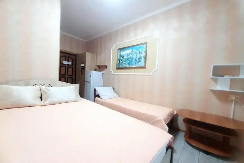 Гостевой дом у Татьяны и Владимира - 100