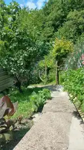 Гостевой дом у Анны - 15