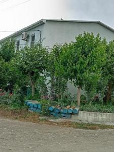 В Долине Роз - 76