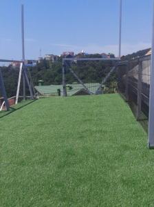 Горная лаванда - 112