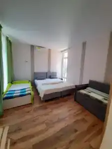 Горная лаванда - 255