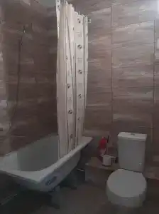 Горная лаванда - 260