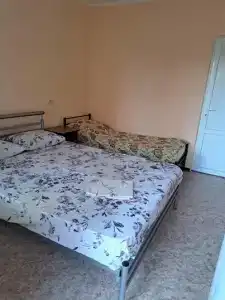 Аист - 53