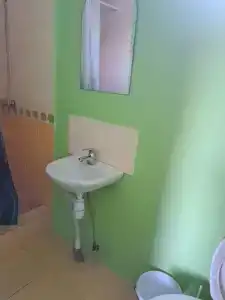 Аист - 60