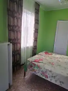 Аист - 21