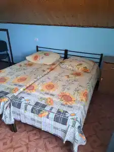 Аист - 30