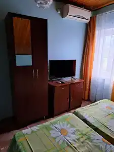 Аист - 32