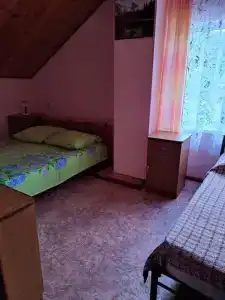 Аист - 33