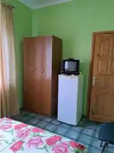 Аист - 40