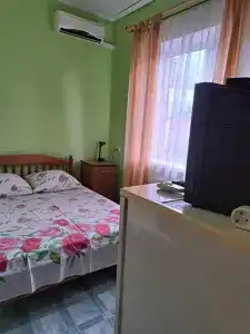 Аист - 41