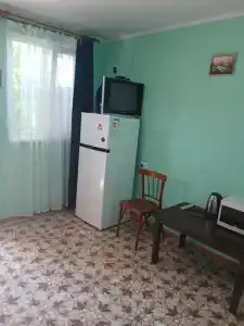 Одуванчик - 24