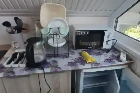 Горная лаванда - 167