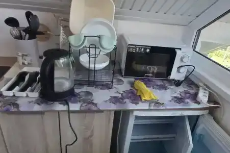 Горная лаванда - 168