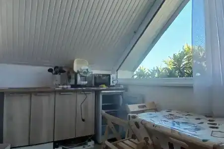 Горная лаванда - 170