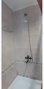 Горная лаванда - 172