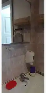 Горная лаванда - 173