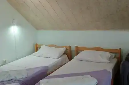 Горная лаванда - 175