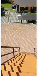 Горная лаванда - 182