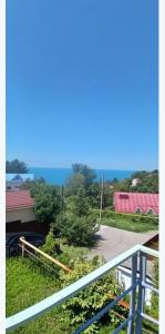 Горная лаванда - 115