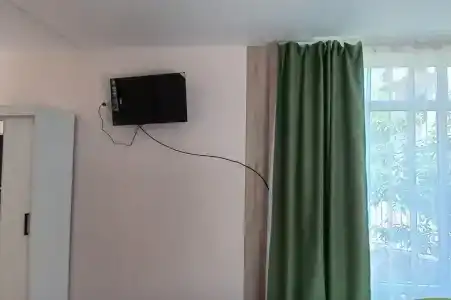 Горная лаванда - 273