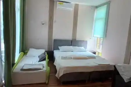 Горная лаванда - 275