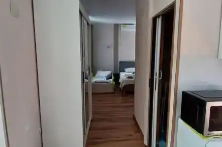 Горная лаванда - 277