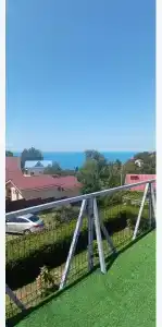 Горная лаванда - 280