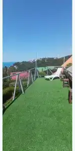 Горная лаванда - 281