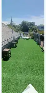 Горная лаванда - 283