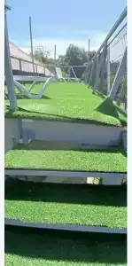 Горная лаванда - 284