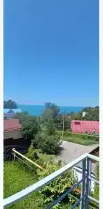 Горная лаванда - 285