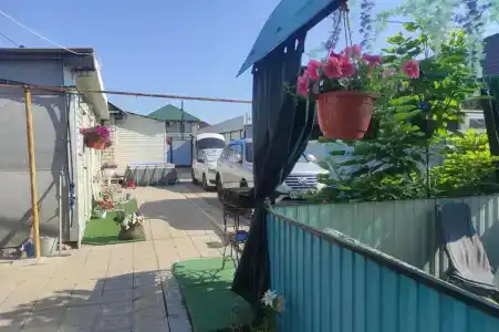 Полина (Мария) - 8