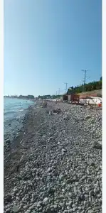 Горная лаванда - 123