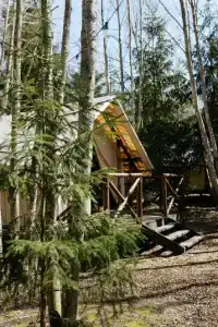 Лисья Дача - 0