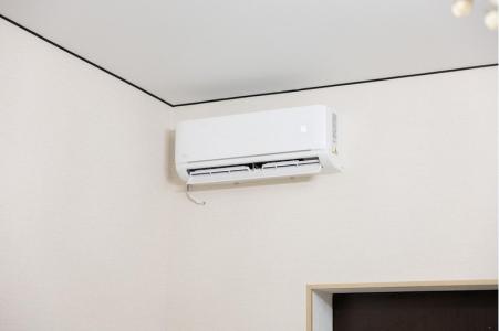 Беркут - 22
