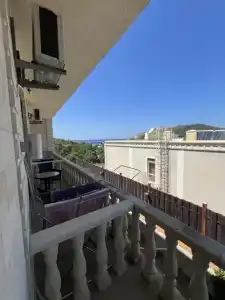 Кипарис - 3