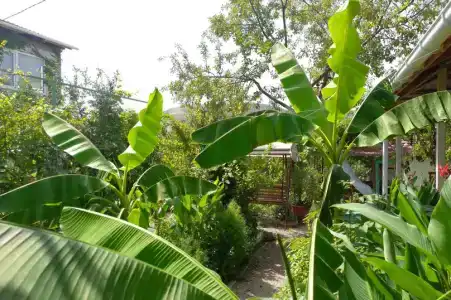 Гостевой дом на Мартынова 16 - 0