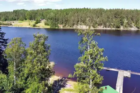 Ласточкино гнездо - 38