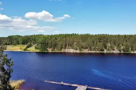 Ласточкино гнездо - 40