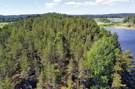 Ласточкино гнездо - 43