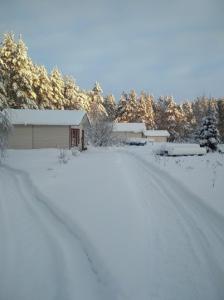 Хутор Курмойла - 31