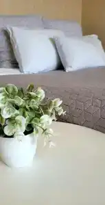 Толстикова 16 - 12