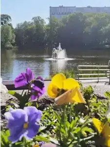 Толстикова 16 - 15