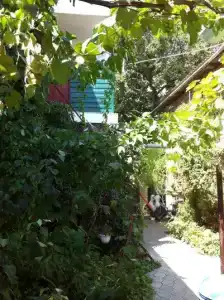 Высокий берег - 16