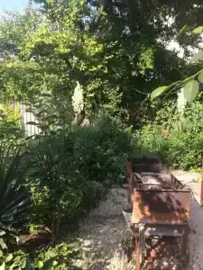 Высокий берег - 17