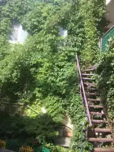 Высокий берег - 69