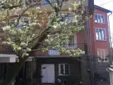 Номер Стандарт