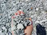 Классический четырёхместный номер
