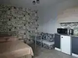 Однокомнатные апартаменты люкс с кухней