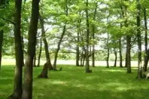 База отдыха «Берендей», Ярлуково